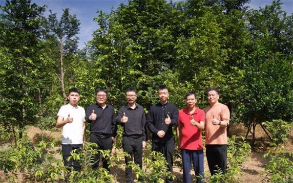 北京鼻观阁文化传播有限公司成功入围东方卫视《预见独角兽(图6)
